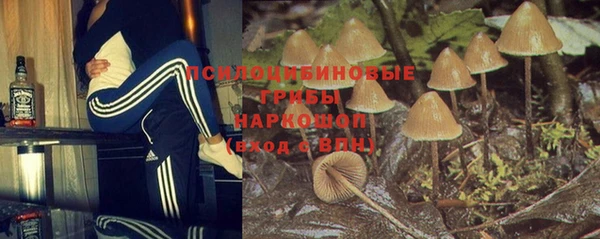 амф Лабытнанги