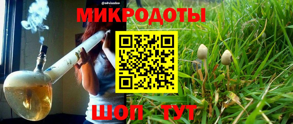 Галлюциногенные грибы Magic Shrooms  Псилоцибиновые грибы Cubensis  Новочеркасск  Вход с VPN 
