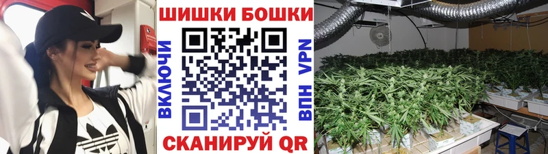 Шишки марихуана марихуана  Новочеркасск 